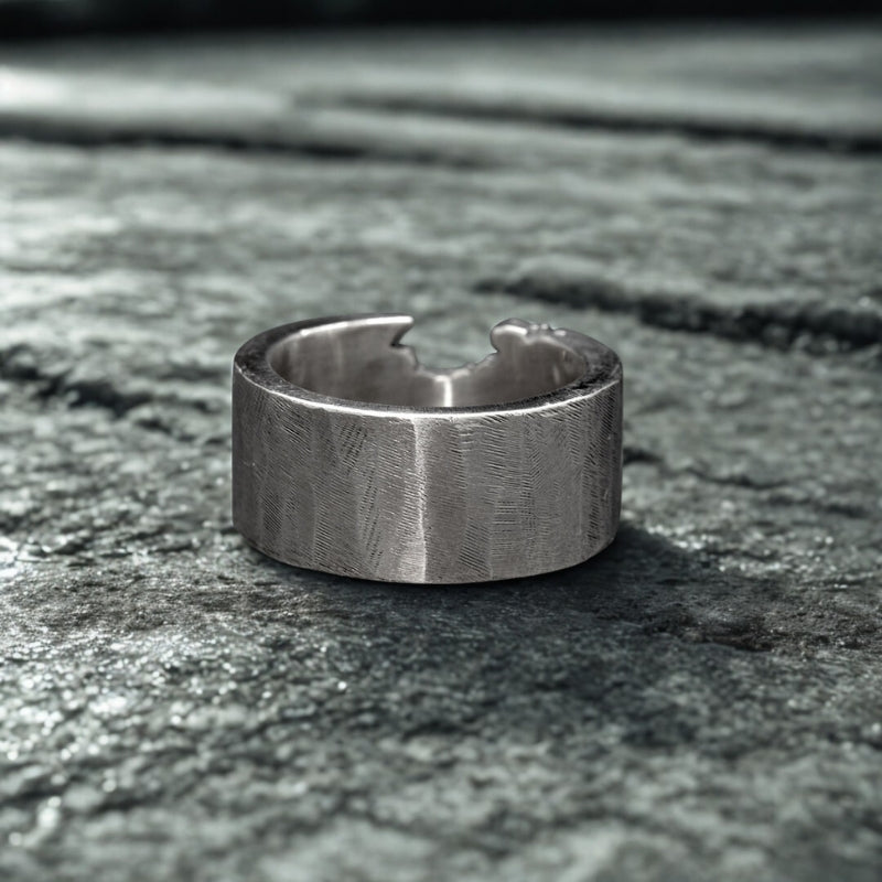 Fusion Constructed Two-Tone Band