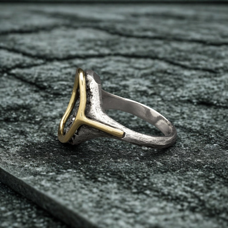 Void Circle Two-Tone Ring